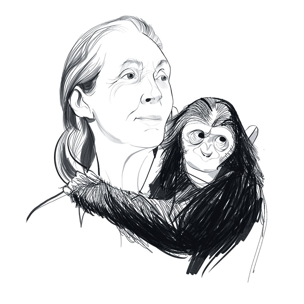 Jane Goodall; ILLUSTRATION BY JOHN JAY CABUAY