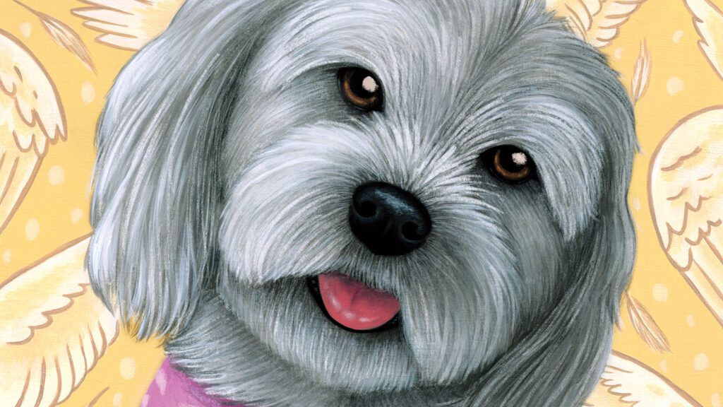 An artist's rendering of a friendly Havenese dog; Illustration by Kayla Reilly