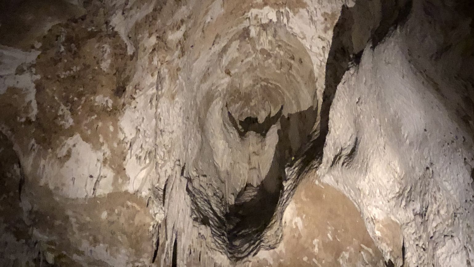 An angel sighting in Carlsbad Cavern.
