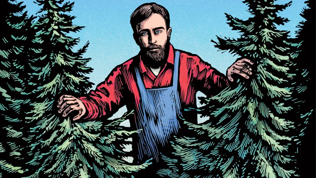 A giant woodsman's peeking through pine trees; Illustration by Chris Wormell