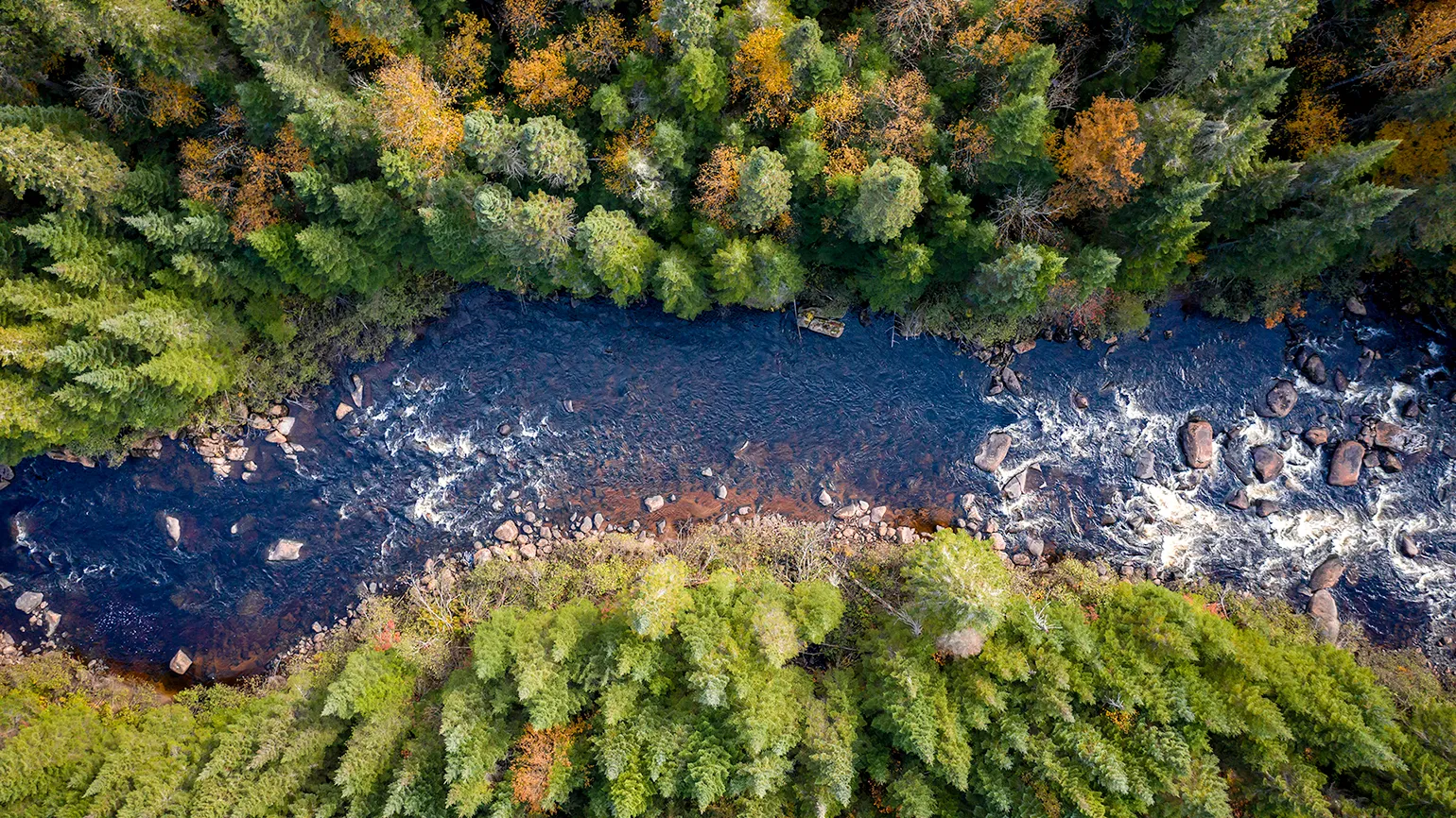 River overhead