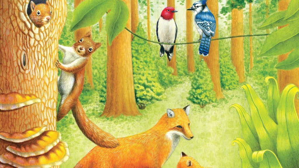 An illustration of foxes, birds and squirrels in a forest; Illustration by Sylvie Fong