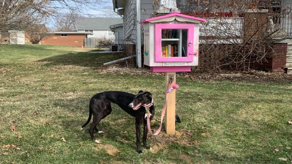 The Little Free Library for dogs, puppies and their owners; photo courtesy Carrie Noar