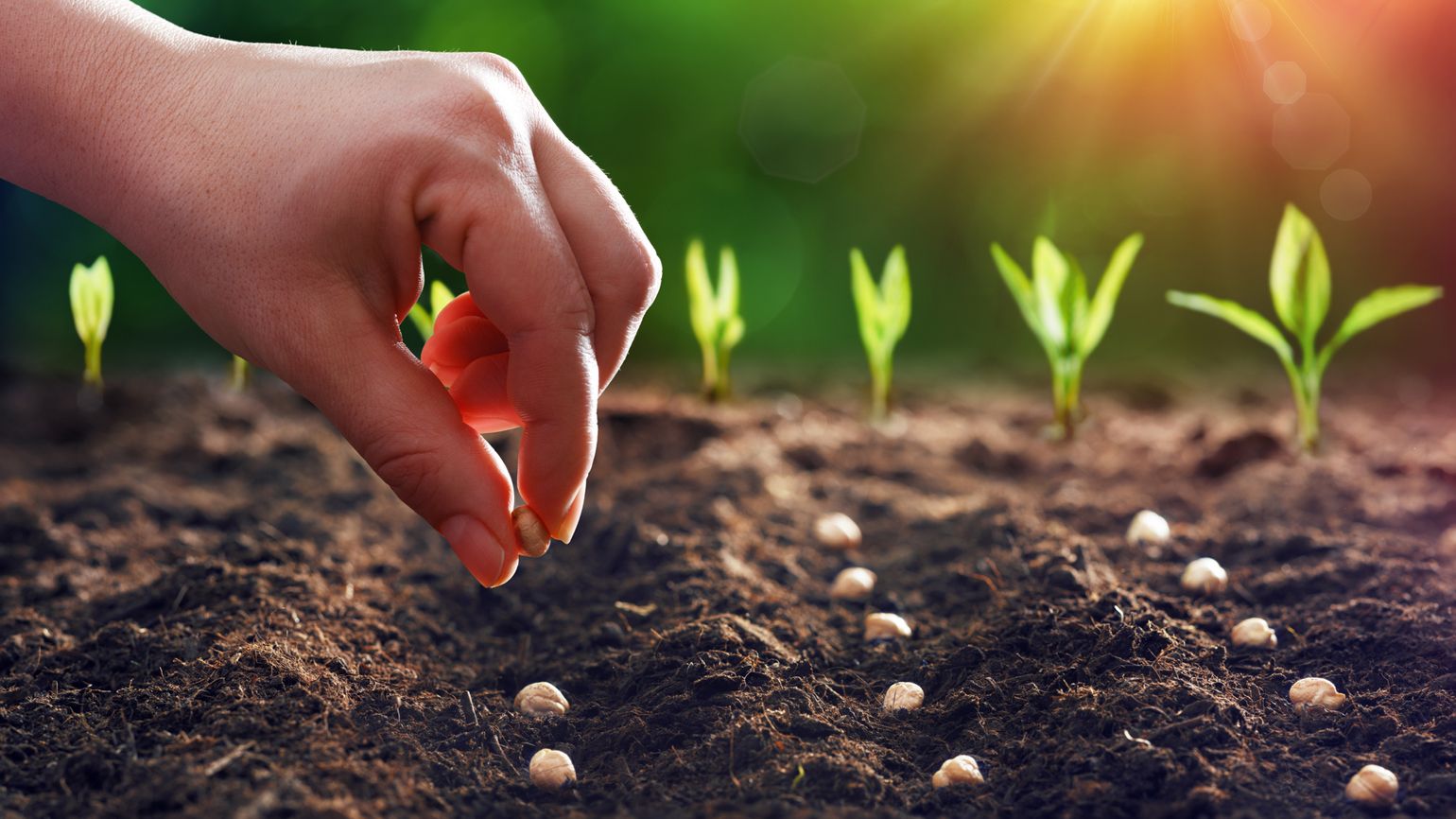 Planting seeds; Getty Images