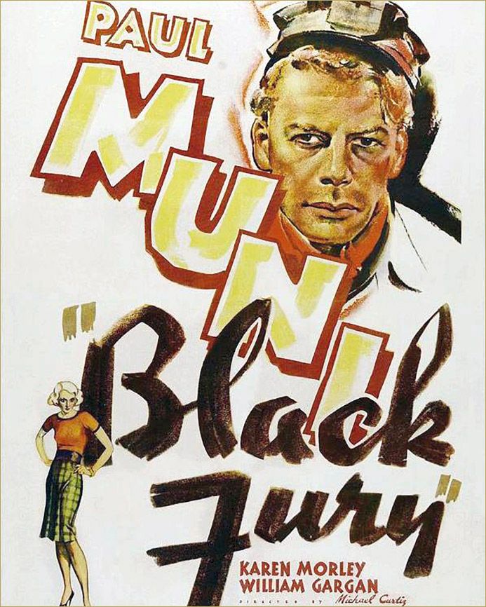 Black Fury poster