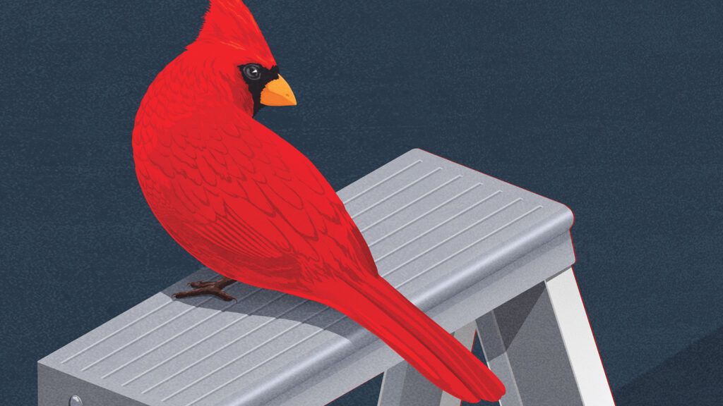 A Cardinal perched on top of a ladder; Illustration by Michael Glenwood