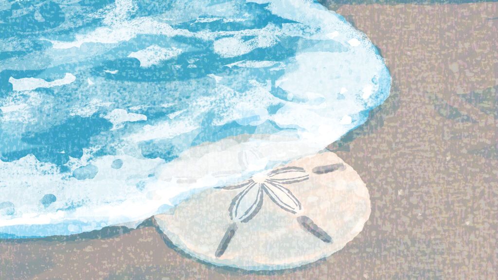 A sand dollar underneath a wave; Illustration by Tatsuro Kiuchi