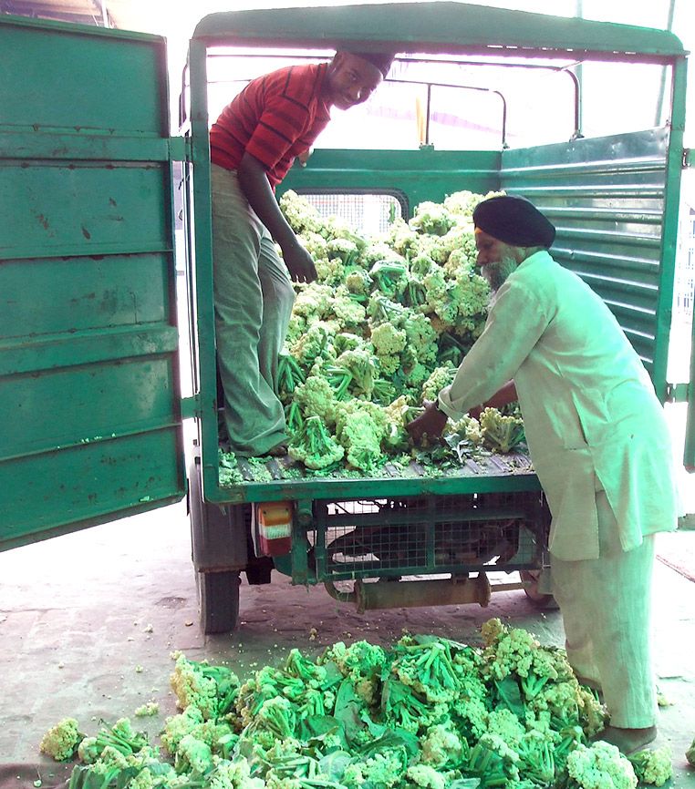 A delivery of cauliflower in Delhi, India; photo courtesy Stephen Henderson