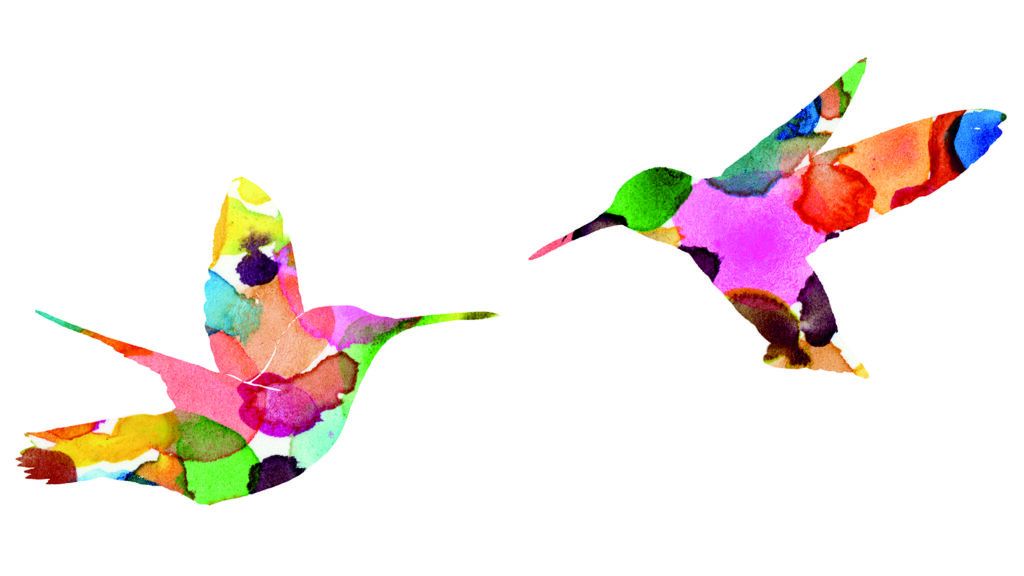 Illustration of two hummingbirds