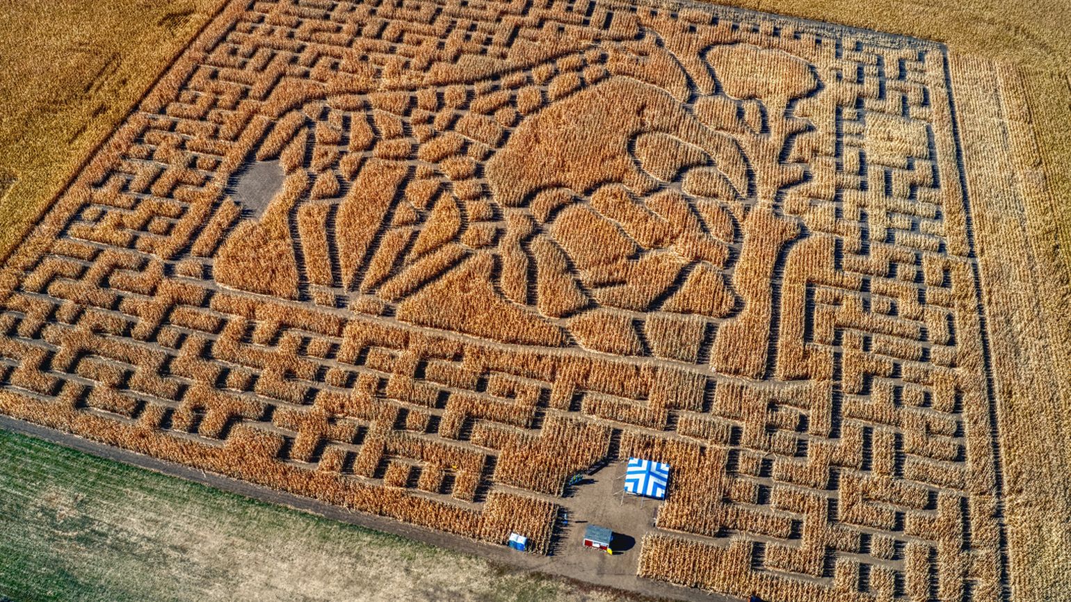 Aerial View of a Corn Maze outside of Sioux Falls, South Dakota. Credit: Shutterstock