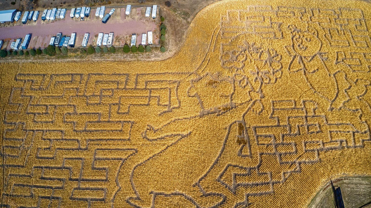Aerial View of a Corn Maze outside of Sioux Falls, South Dakota. Photo credit: Shutterstock