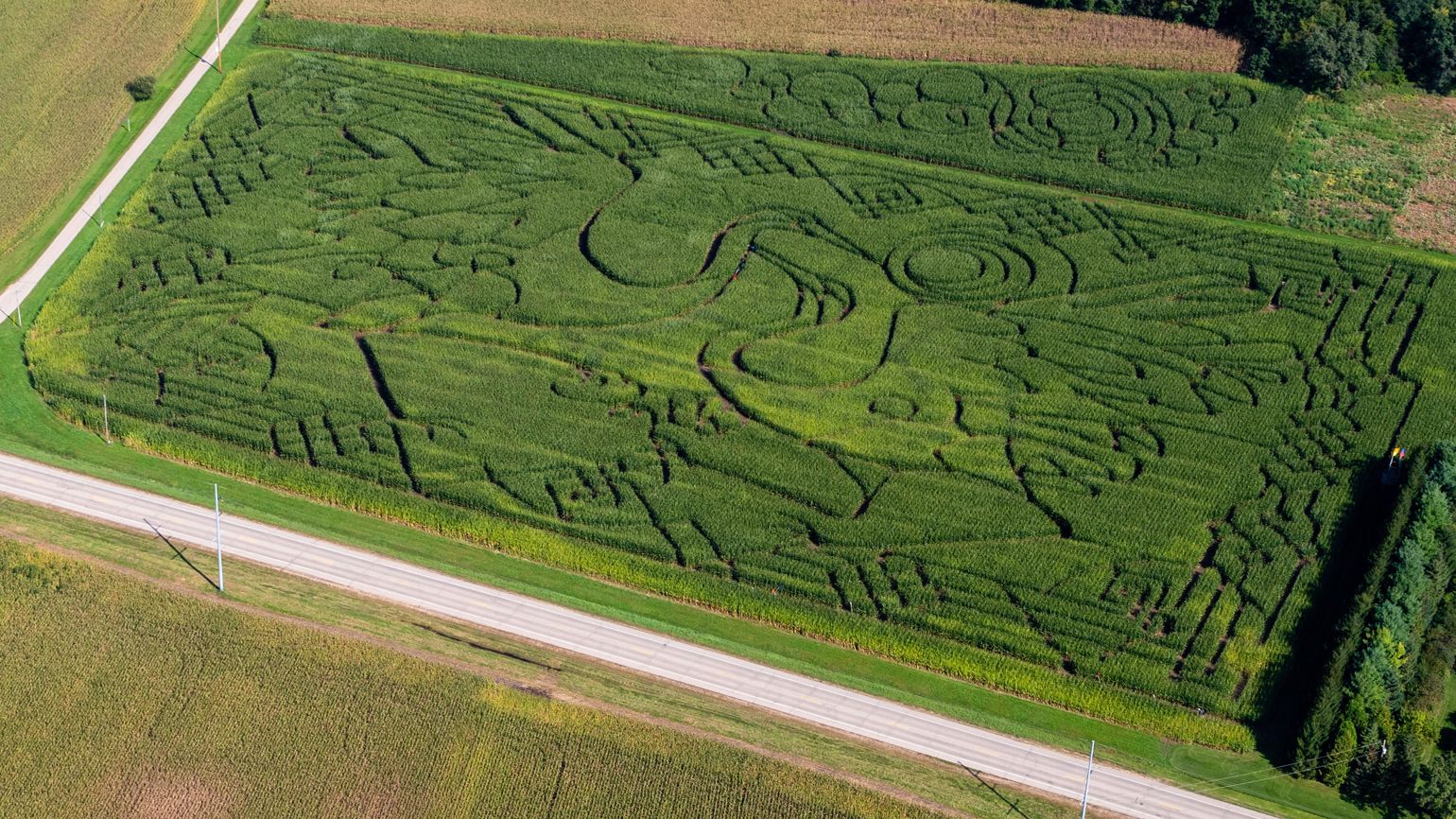 The Treinen Corn Maze near Lodi, Wisconsin, USA; Photo credit: Timothy Mulholland / Alamy Stock Photo