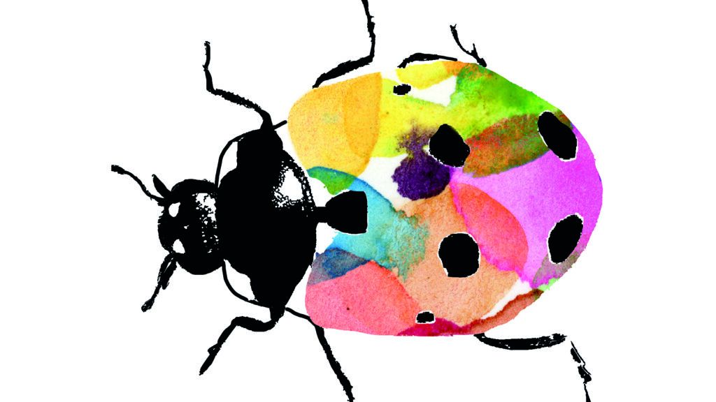 Illustration of a ladybug