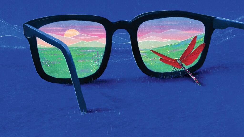 Glasses with a scenic view in the lenses; Illustration by Daniel Lievano