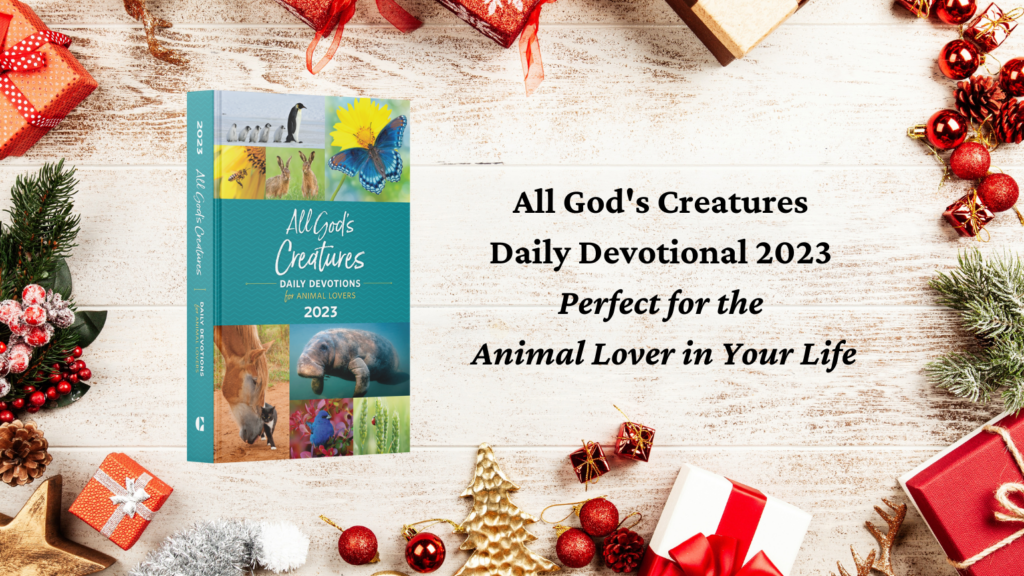 All God's Creatures Daily Devotional as a faith present for Christmas 2022
