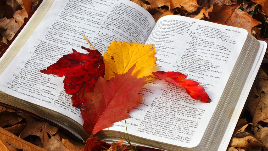 An open Bible surrounded by autumn leaves