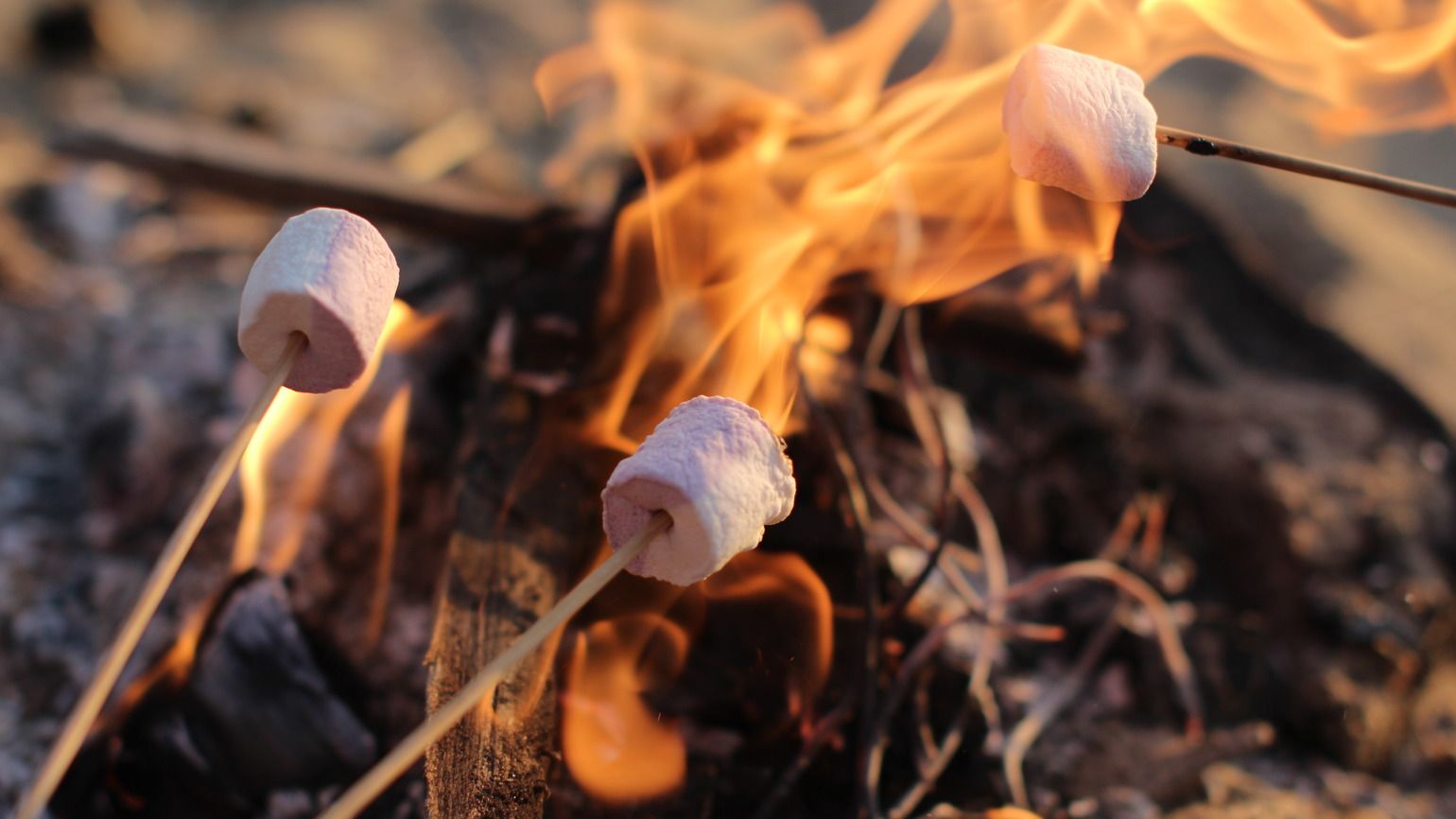 fire roasted marshmallows (Getty)