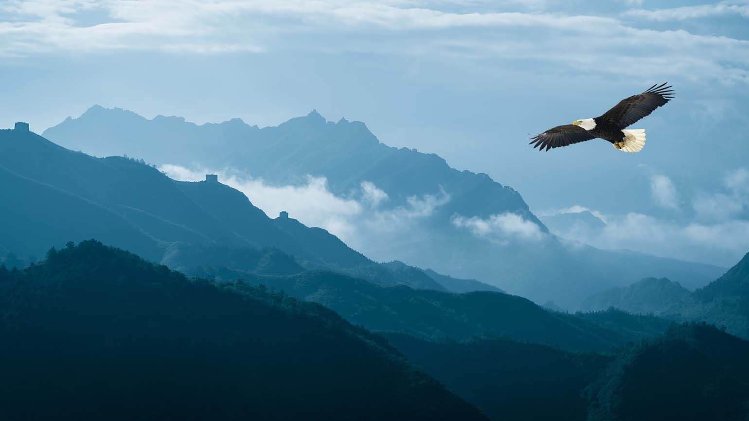 A bald eagle flying over mountains; Getty Images
