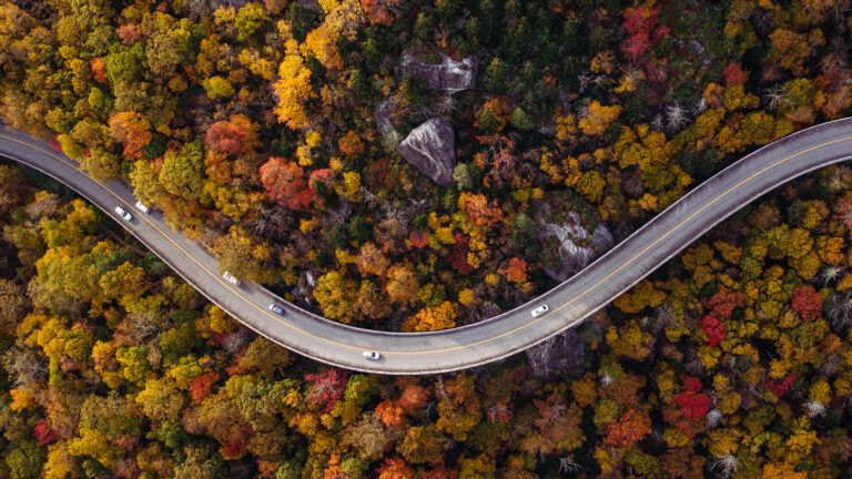 An aerial view of a country road winding through autumn woods