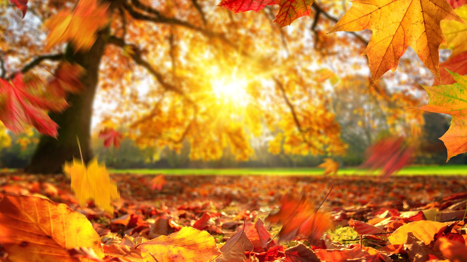 7 Biblical Prayers for Autumn | Guideposts