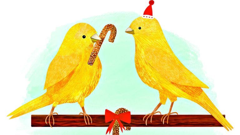 Illustration of two yellow birds