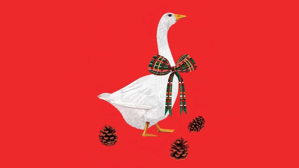 An illustration of a Christmas goose; Illustration by Jackie Besteman