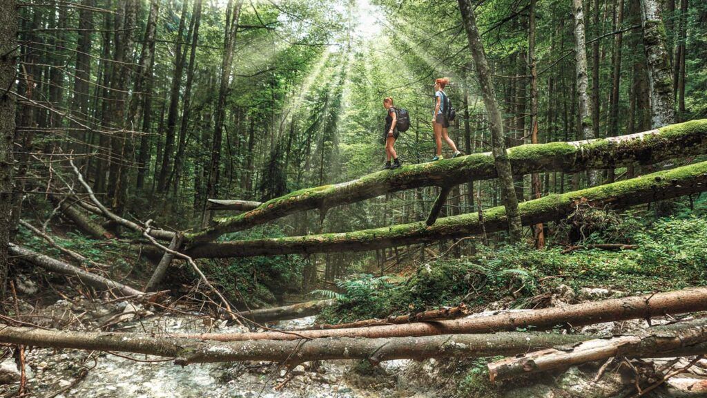 Two girls talking a walk through a scenic forest; Getty Images