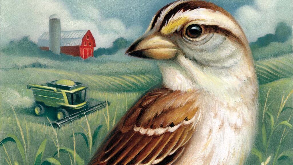 An illustration of a bird on a farm; ILLUSTRATION BY CHRIS BUZZELLI