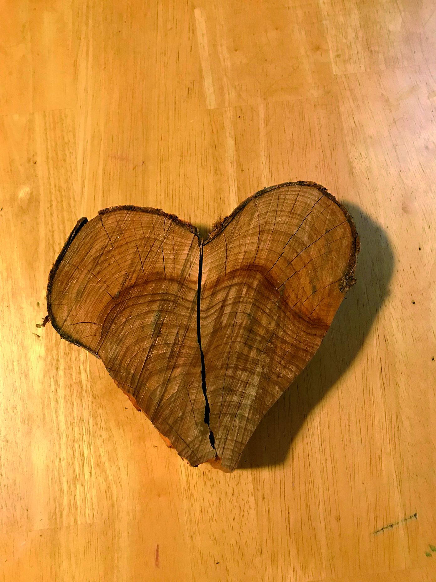 This piece of wood is a sign of true love (photo courtesy Kay Campbell)