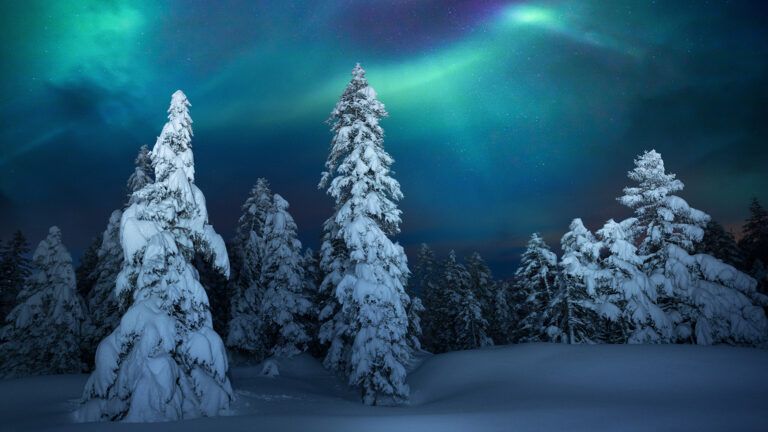 winter_snow_nothern_lights