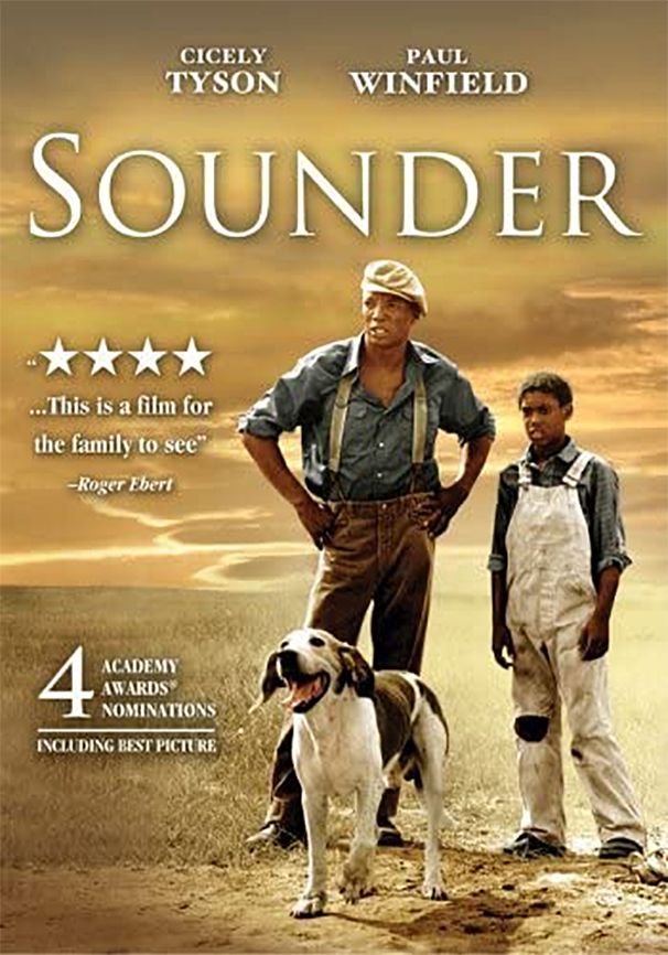 Sounder poster