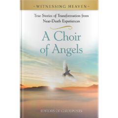 Witnessing Heaven Book 5: A Choir of Angels-0