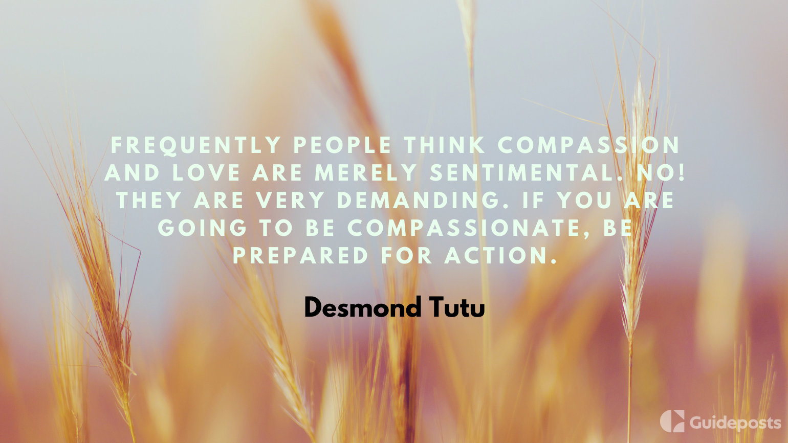 Frequently people think compassion and love are merely sentimental. No! They are very demanding. If you are going to be compassionate, be prepared for action.  —Desmond Tutu