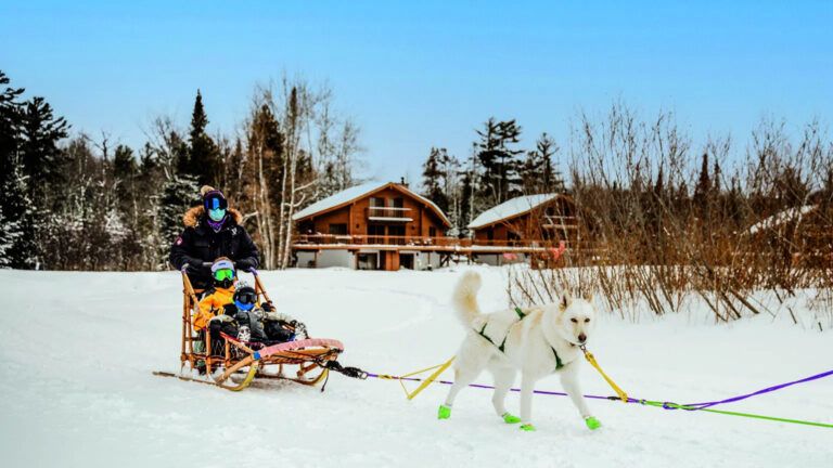 A dog pulling people on a sled
