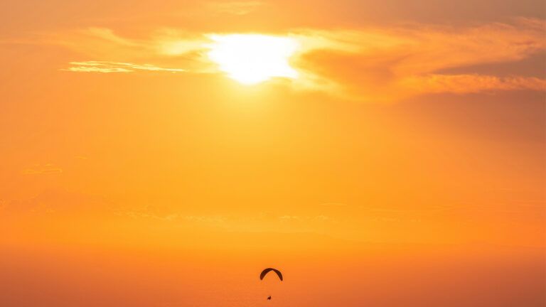 A bird flying over water as the sun sets. Credit: Unsplash