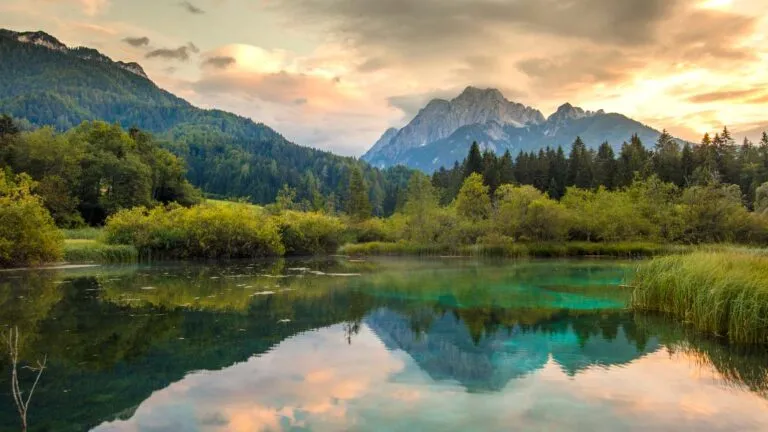 Mountains and green forest in Slovenia; Getty Images