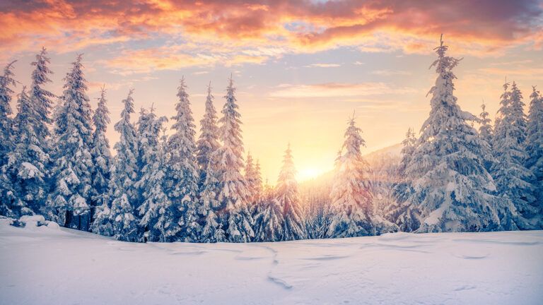 The sun rises on a snowy winter scene