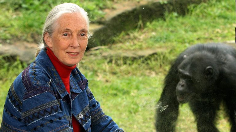 Jane Goodall, author of "The Power of Hope"