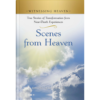 Witnessing Heaven Book 6: Scenes from Heaven - Hardcover-0