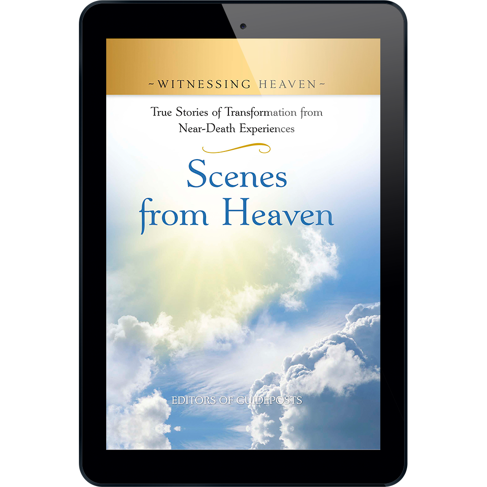 Witnessing Heaven Book 6: Scenes from Heaven