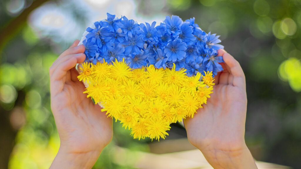 A heart made of blue and yellow flowers in the hands of a child
