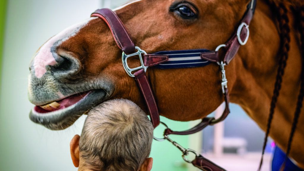 Peyo greets his old friend Daniel, 67, a former equestrian, who has terminal cancer.