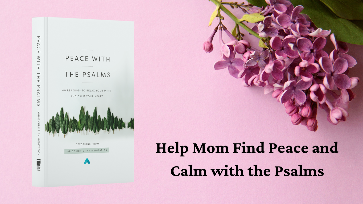 Peace with the Psalms (Abide) spiritual faith based mothers day gifts