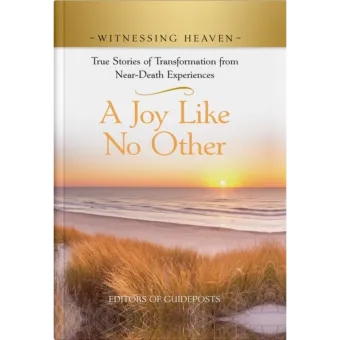 Witnessing Heaven Book 7: A Joy Like No Other-0