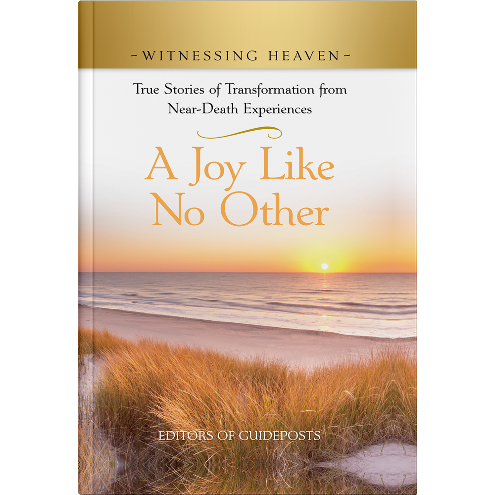 Witnessing Heaven Book 7 A Joy Like No Other Hardcover