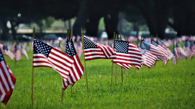 American flags