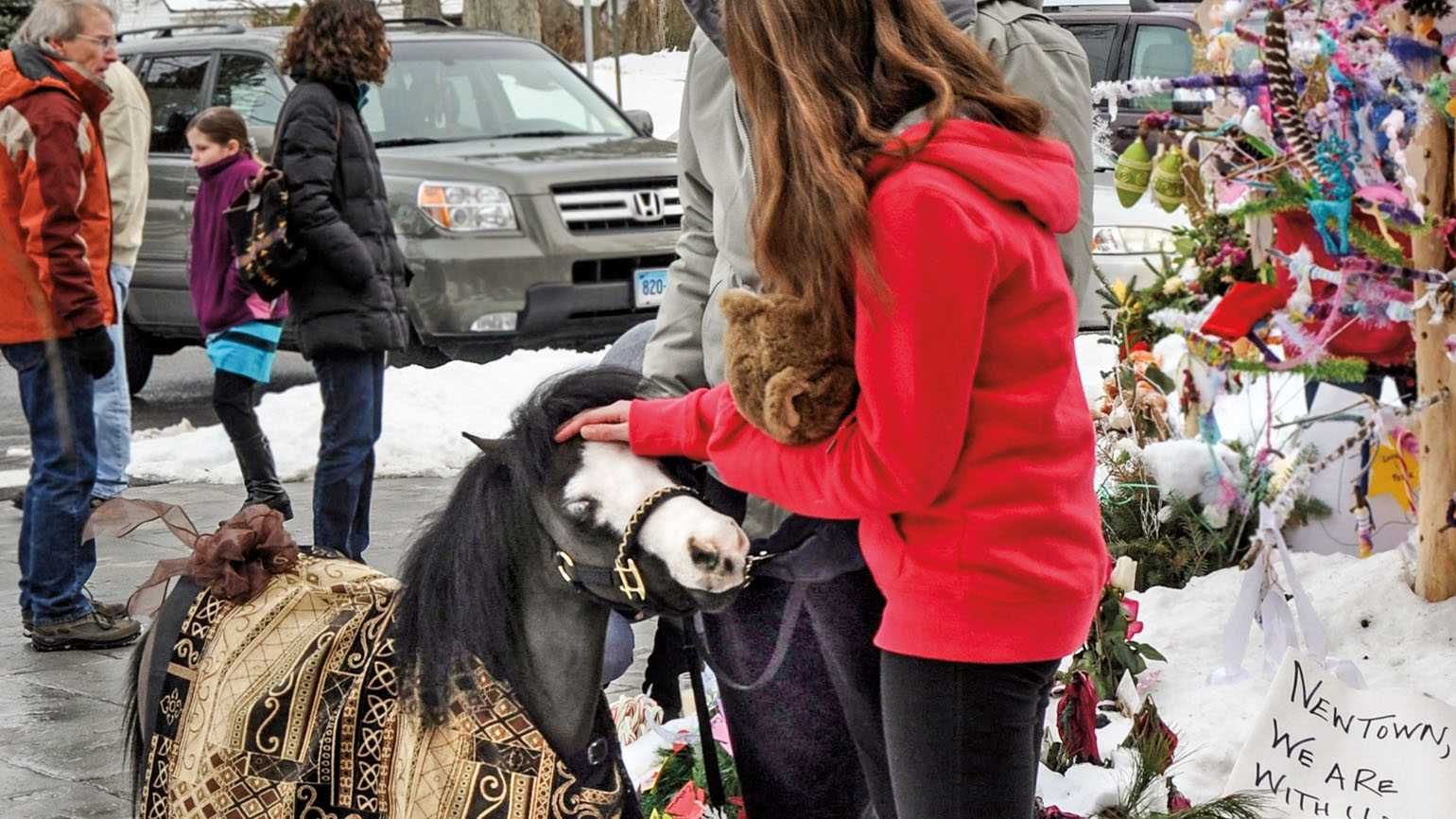 Magic the therapy horse comforts kids at Sandy Hook in inspiring stories of animals helping humans