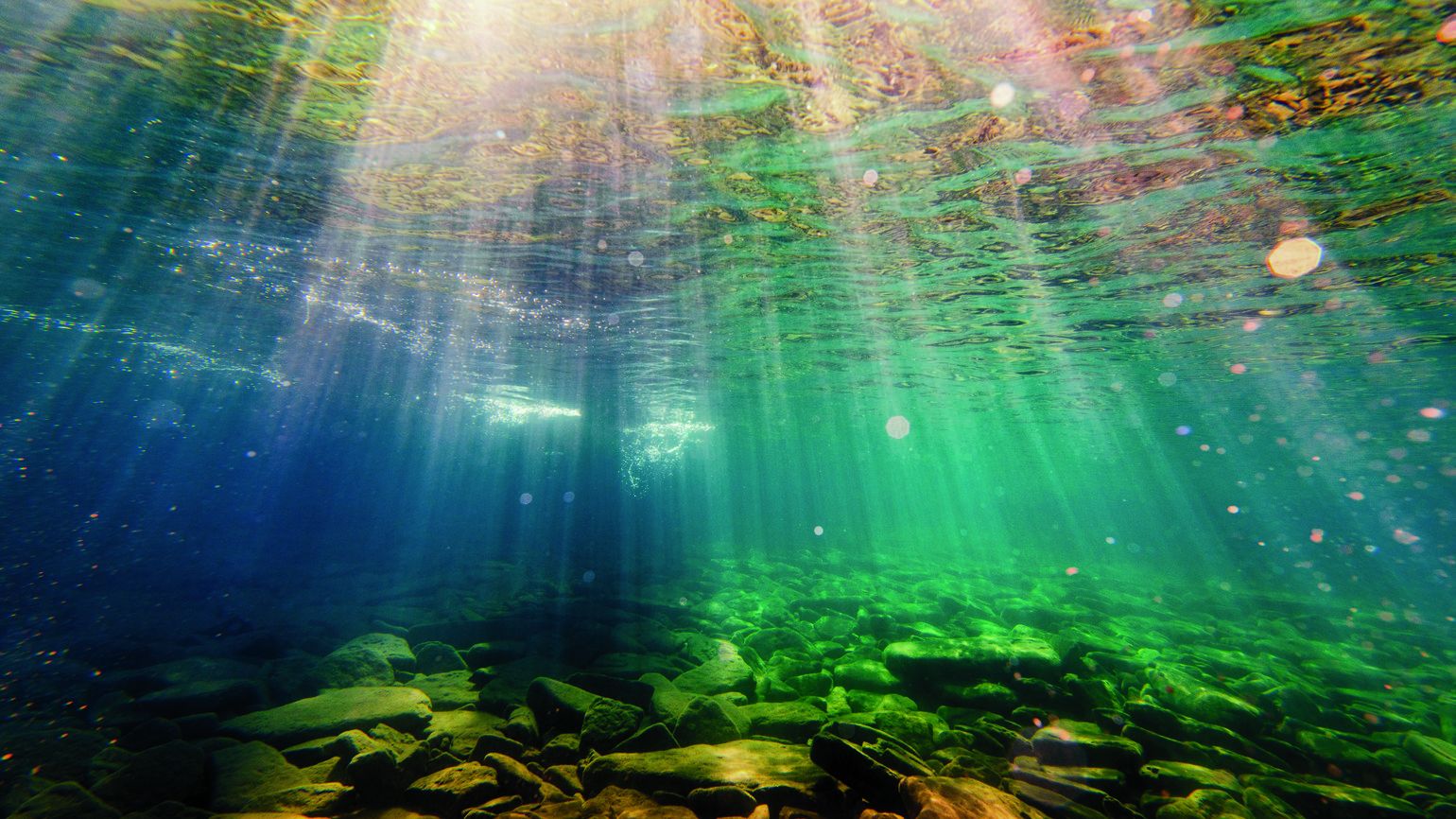 Underwater scene with sunlight doing positive living and an inspirational quote