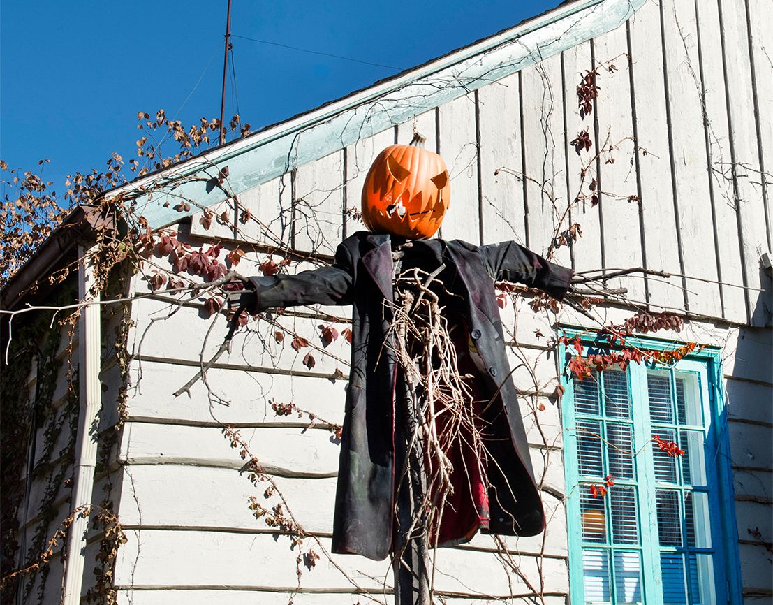 A scarecrow with a pumpkin for its head; photo by Scott Goldsmith