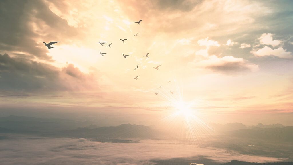 Birds flying by a mountain at sunrise as a part of near-death experience stories